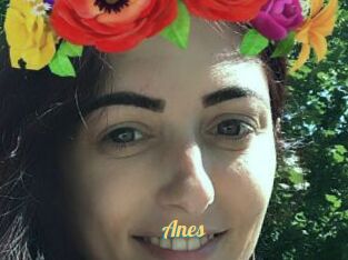 Anes