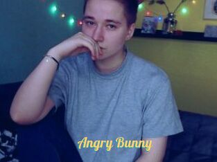 Angry_Bunny