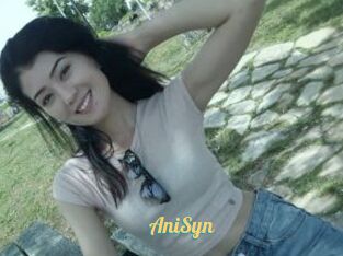 AniSyn