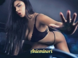 Anieminori
