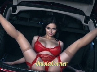 AnisiaCorner