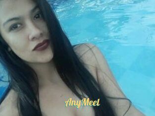 AnyMeel