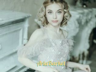 AriaBarket