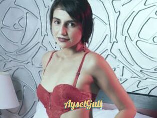 AyselGull
