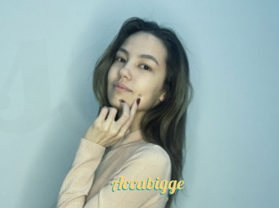 Accabigge