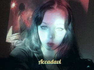 Accadavi