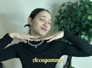 Accagammell