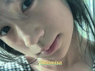 Aidamisa