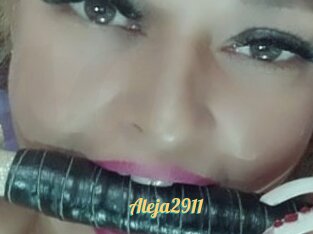 Aleja2911