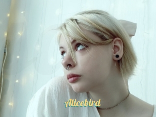 Alicebird
