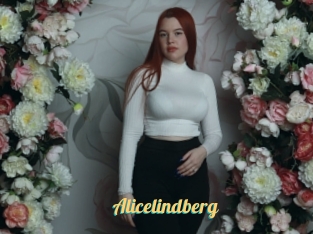 Alicelindberg