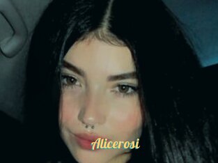 Alicerosi