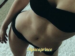 AlpacaPrince