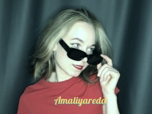 Amaliyaredd