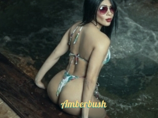 Amberbush