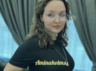 Aminaholms