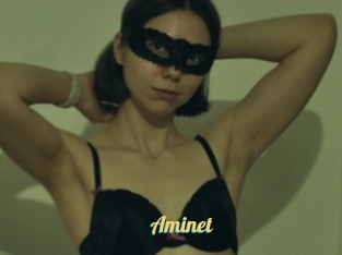 Aminet