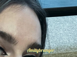 Amitybrunger