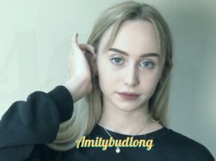Amitybudlong