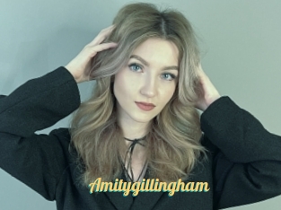 Amitygillingham