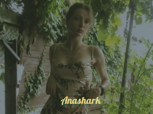Anashark