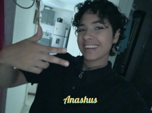 Anashus