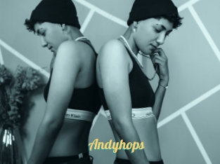 Andyhops