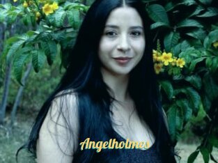 Angelholmes