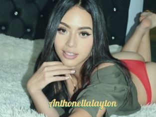 Anthonellalayton