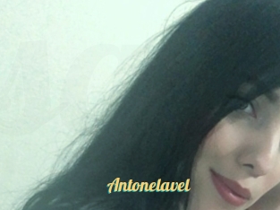 Antonelavel