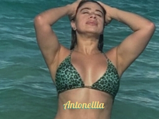Antonellla