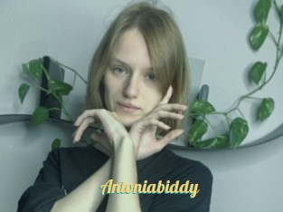 Antoniabiddy