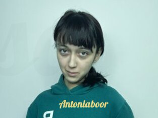 Antoniaboor