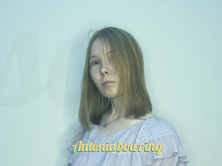Antoniabowring