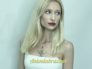 Antoniabracher
