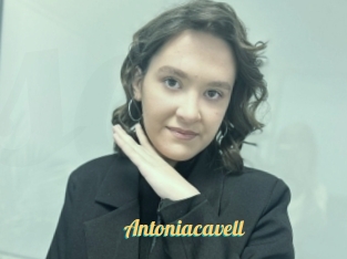 Antoniacavell