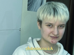 Antoniacowick