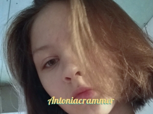 Antoniacrammer