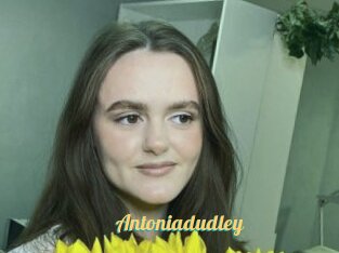 Antoniadudley