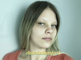 Antoniadumford