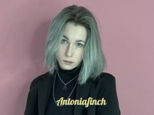 Antoniafinch