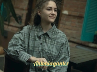 Antoniaganter