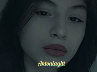 Antoniagitt