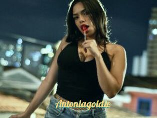 Antoniagoldie