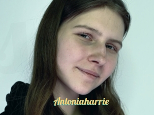 antoniaharrie Sex Amatrices