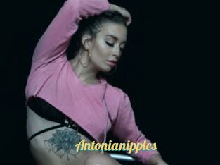 Antonianipples