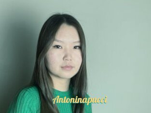 Antoninapucci