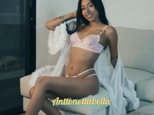 Anttonellabella