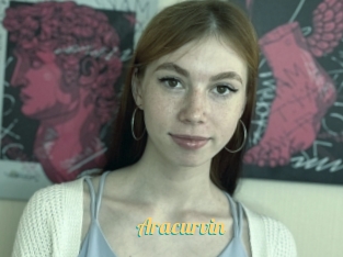 Aracurvin