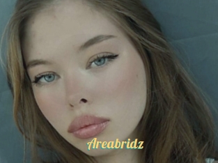 Areabridz